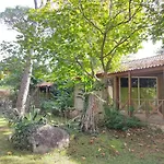 Arutoli 维琪奥港