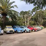Arutoli 营地 维琪奥港