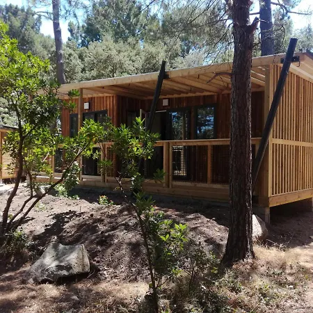 Kamp alanı Arutoli 3*