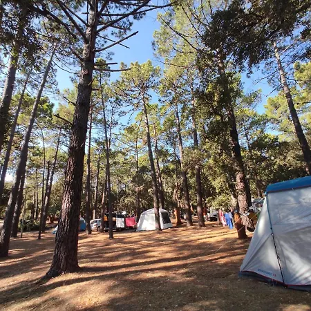 Kamp alanı Arutoli 3*