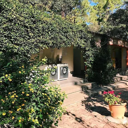 Kamp alanı Arutoli 3*