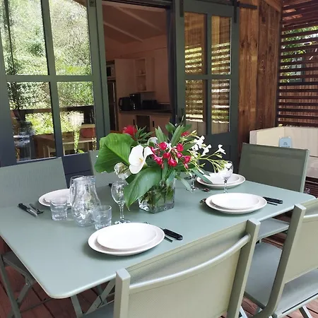 Arutoli Kamp alanı 3*