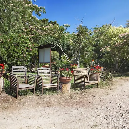 Arutoli Kamp alanı Porto-Vecchio (Corsica)
