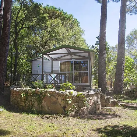 Kamp alanı Arutoli 3*