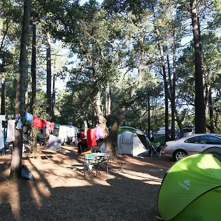 Kamp alanı Arutoli Porto-Vecchio (Corsica)