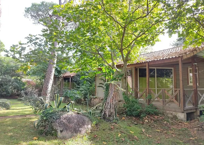 Arutoli Porto Vecchio