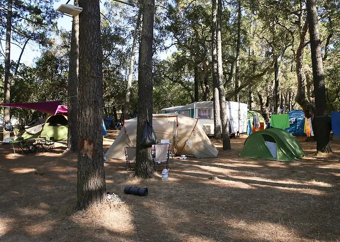 Arutoli Πόρτο Βέκιο